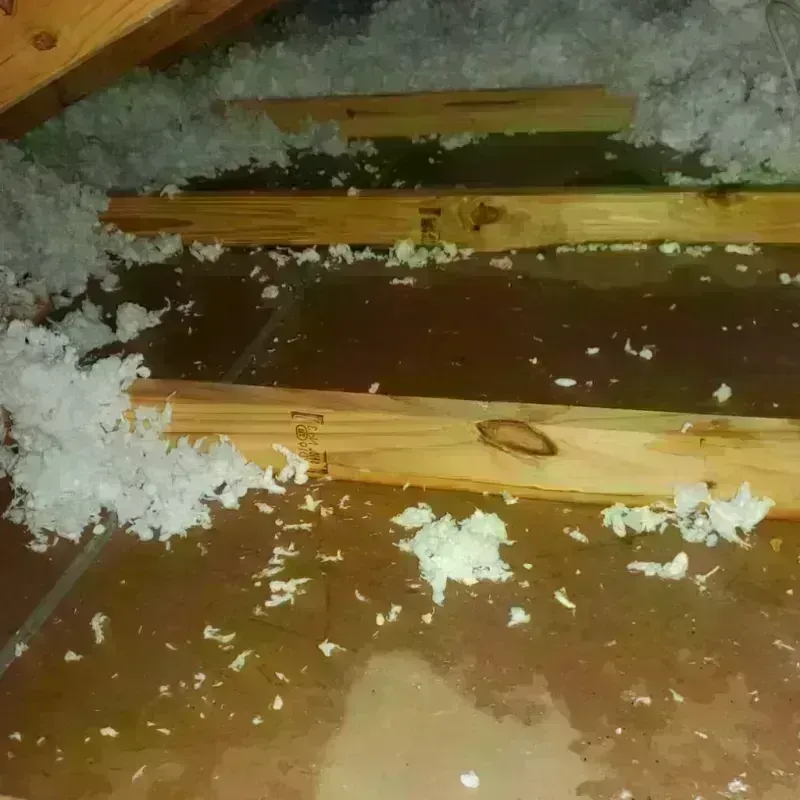 Attic Water Damage in Hawthorne, FL