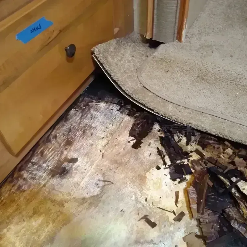 Wood Floor Water Damage in Hawthorne, FL